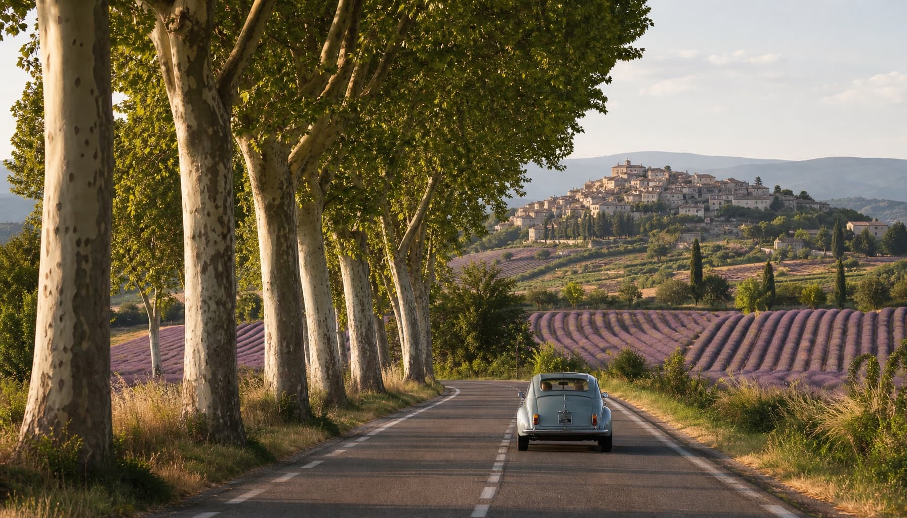 Tree-lined French country road past lavender fields and a hilltop village on a France road trip